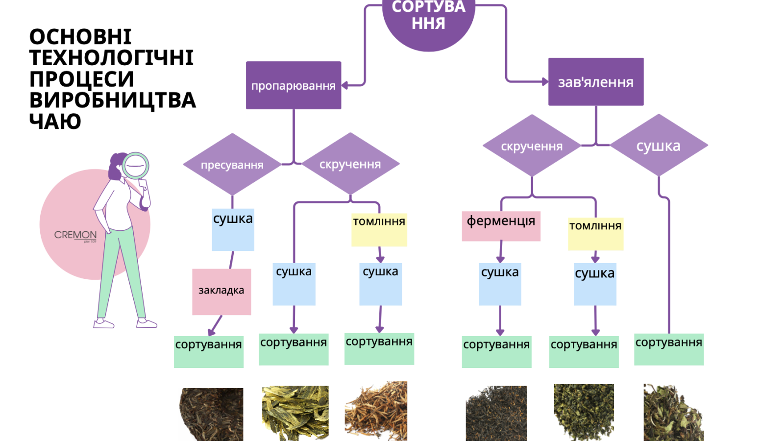 Процеси виробництва чаю