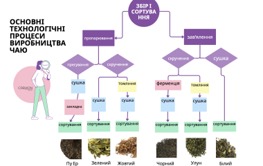 Процеси виробництва чаю