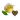 ХЕЛСІ